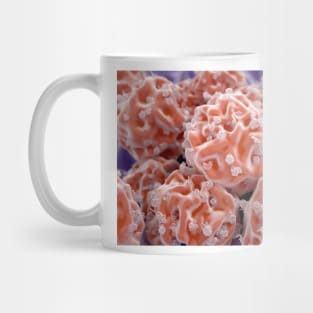 Stem cells, illustration (F013/1490) Mug